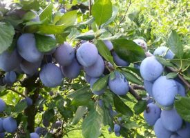 Luglio dal gran caldo, bevi bene e batti saldo